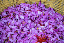 Load image into Gallery viewer, Premium "Ruby" Grade Saffron